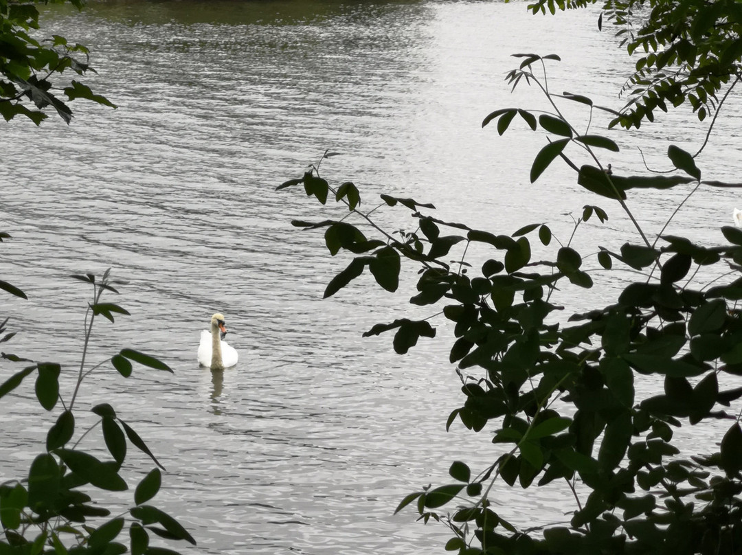 Brent Reservoir (Welsh Harp) Canalside景点图片
