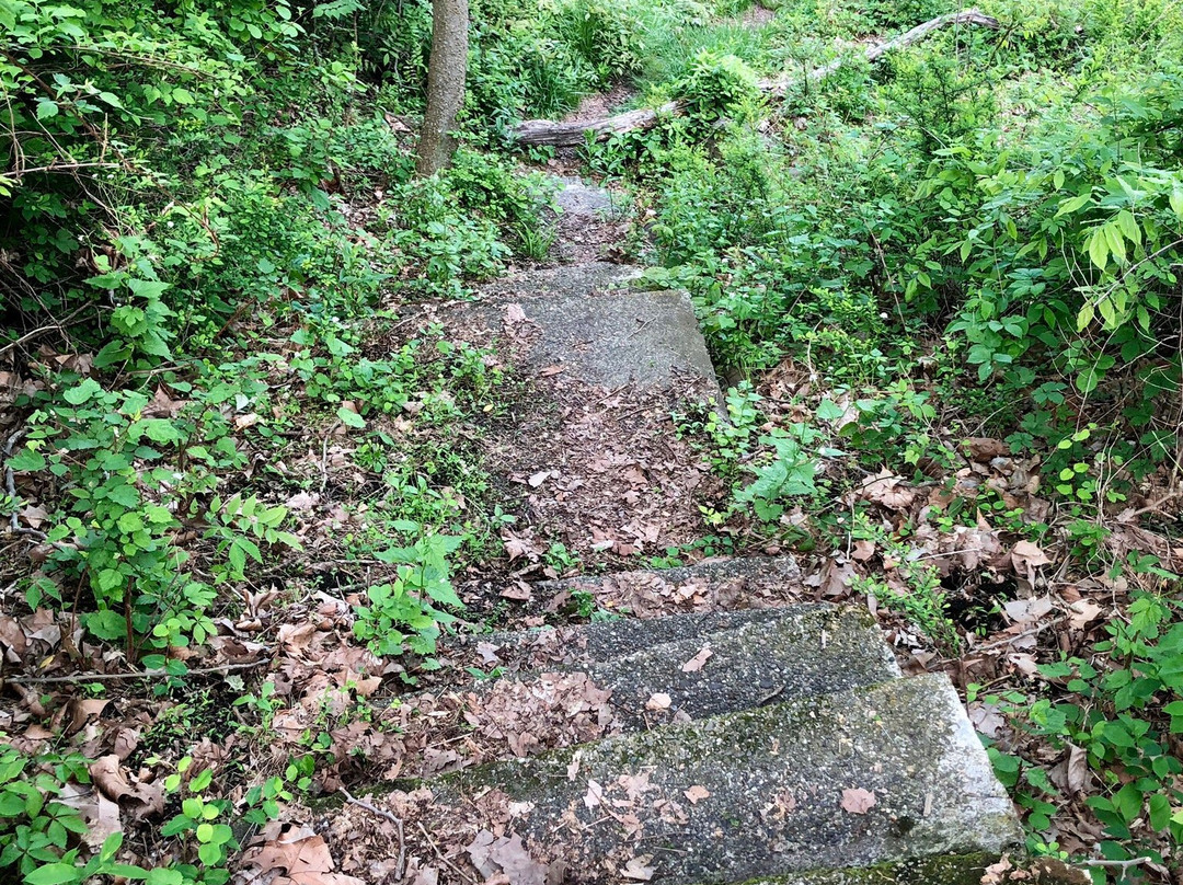 Doodletown-Stony Point必去景点