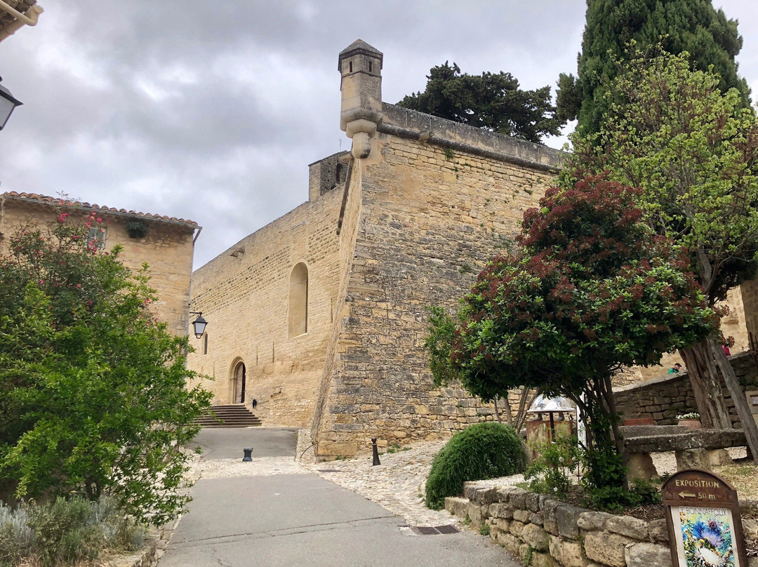 Chateau d'Ansouis景点图片