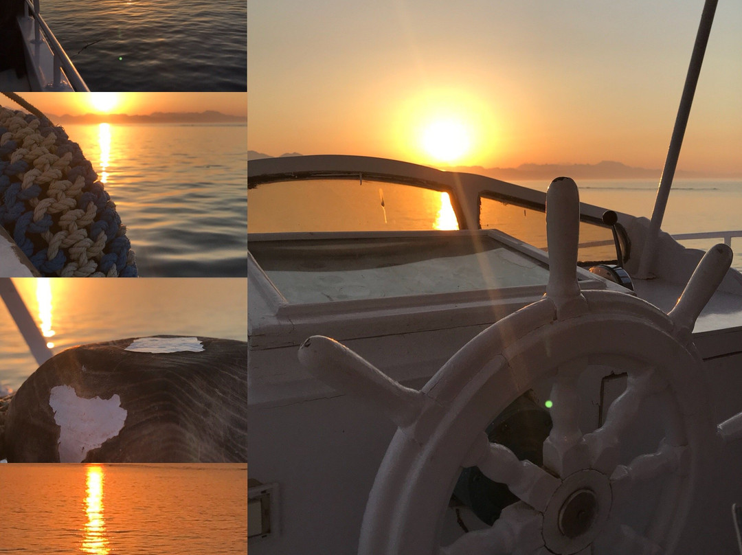 Barakuda Diving Center Safaga-Safaga必去景点