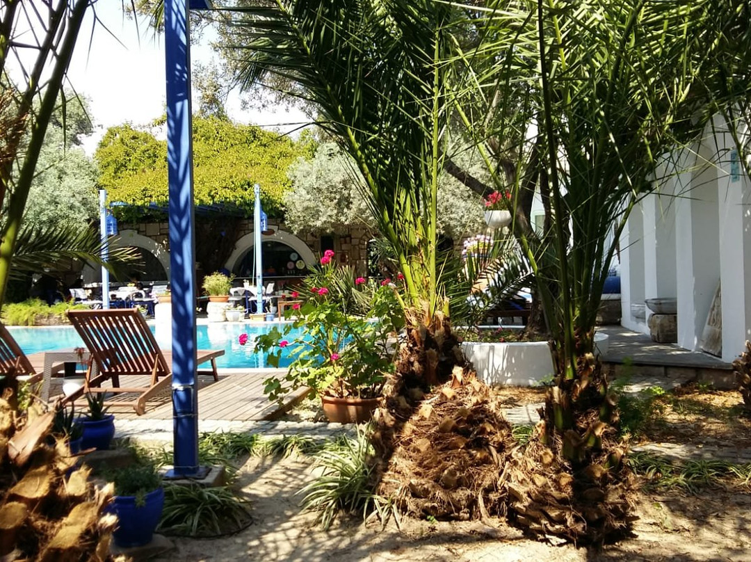 Villa Oliva Butik Hotel主图