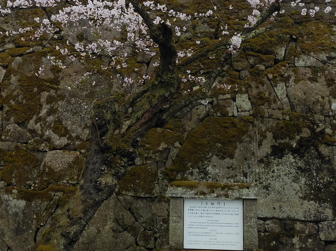 Taikomon Gate-会津若松市必去景点