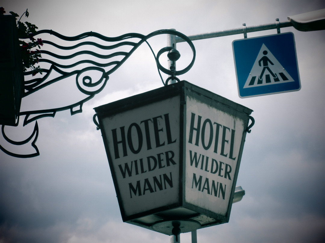 Hotel Wilder Mann主图