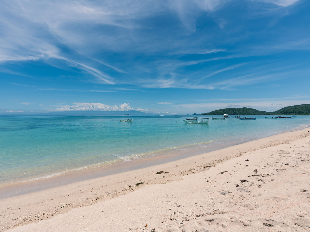 Scar Reef Resort