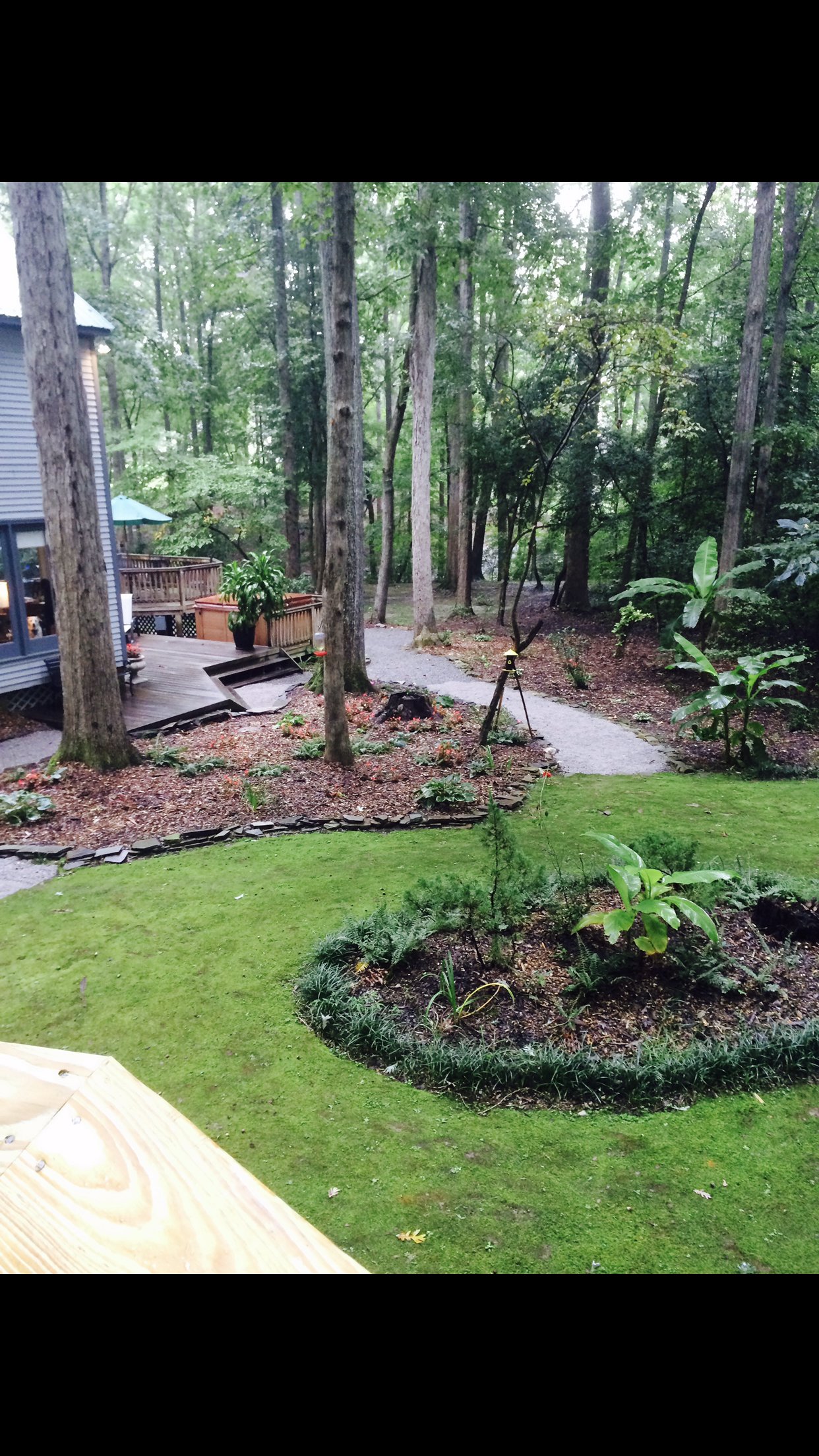 Azalea Private Wellness Retreat Bnb-官方