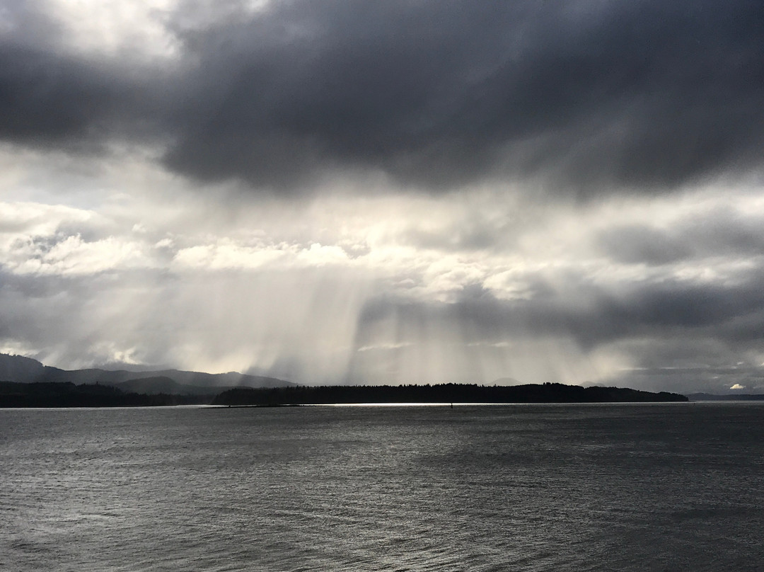 Nimpkish Hotel主图