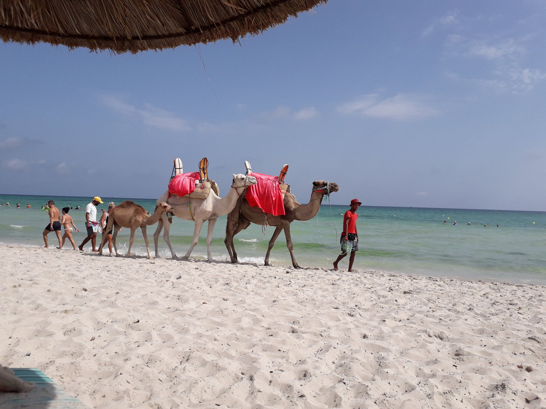 Hotel Cedriana主图