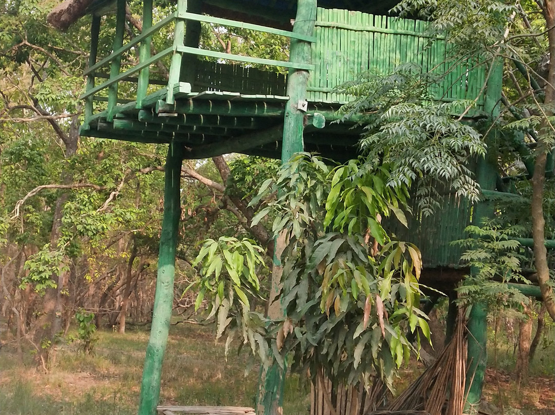 Pilibhit Tiger Reserve景点图片