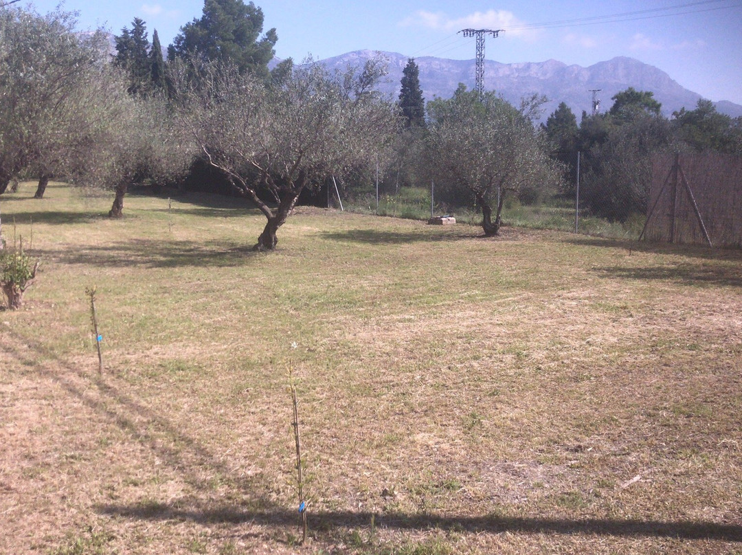 Casa de Los Lirios主图