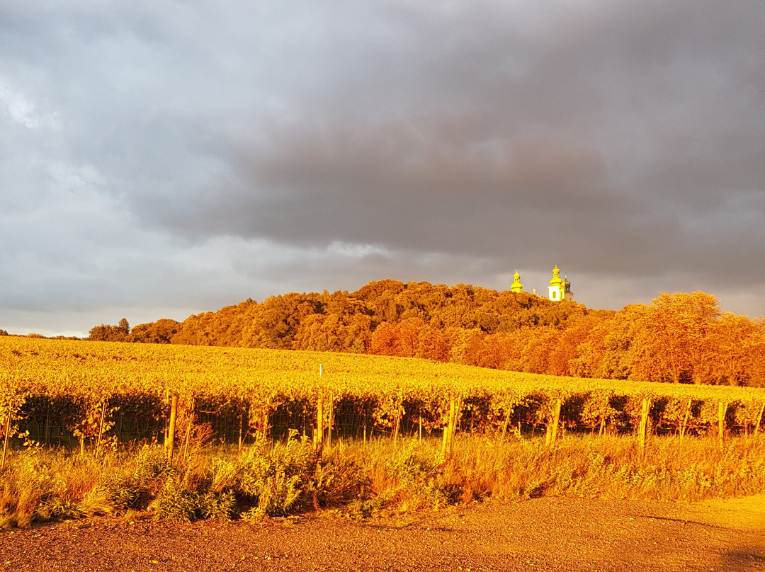Camaldolese Hermit Monastery-克拉科夫必去景点