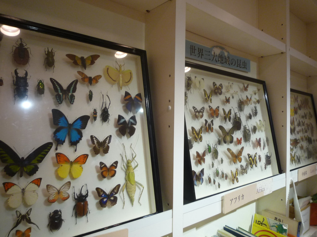 L'Oustal del Felibre di Tavan-Sendagi必去景点