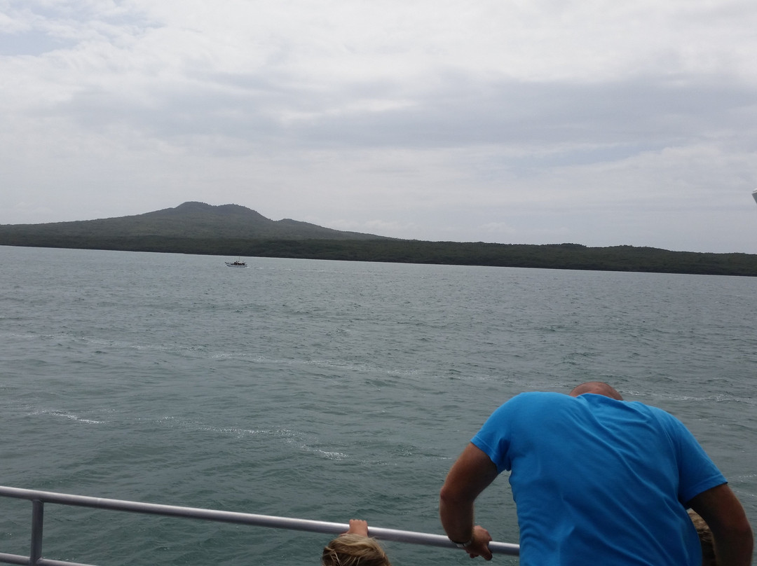 豪拉基湾-奥克兰中心地区必去景点