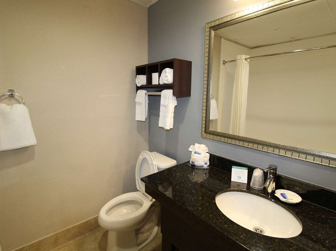 阿尔伯马尔希尔顿恒庭酒店主图