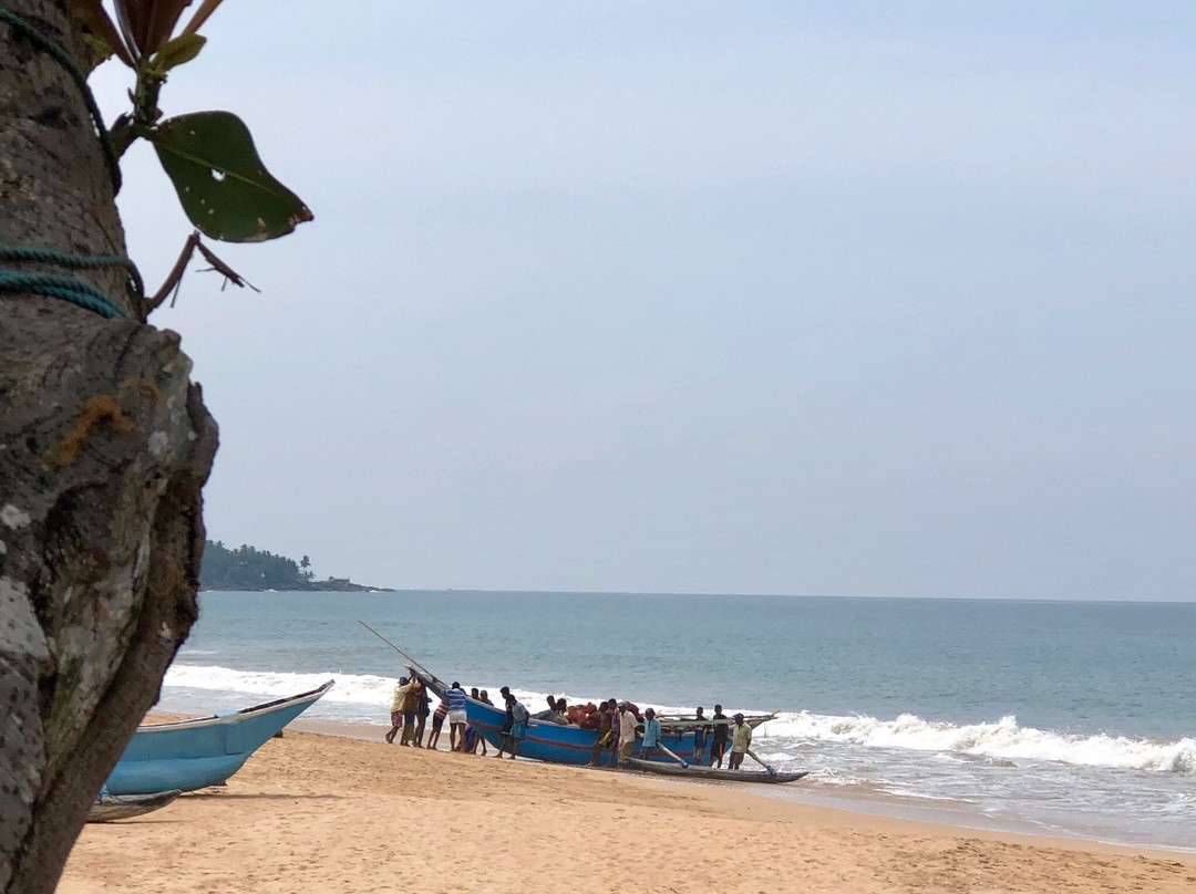 Stilt Fishermen Sri Lanka景点图片