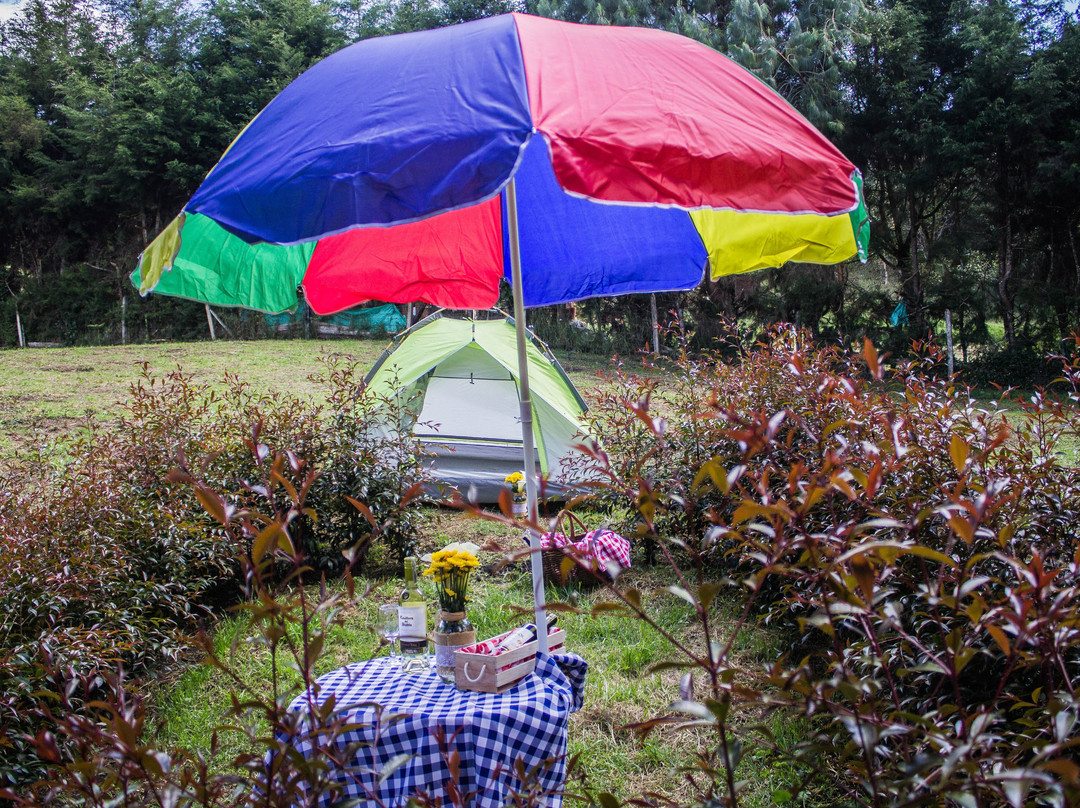 Eco Hotel Terrabella主图