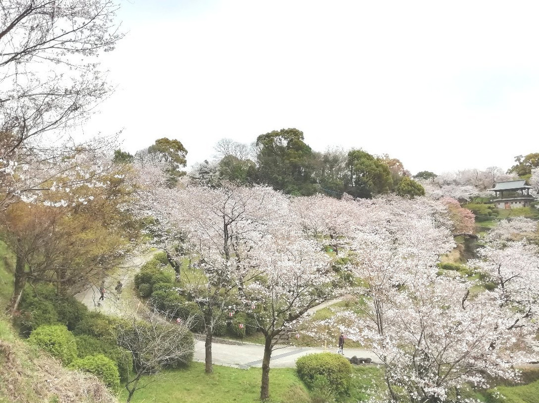 Kikuchi Park景点图片