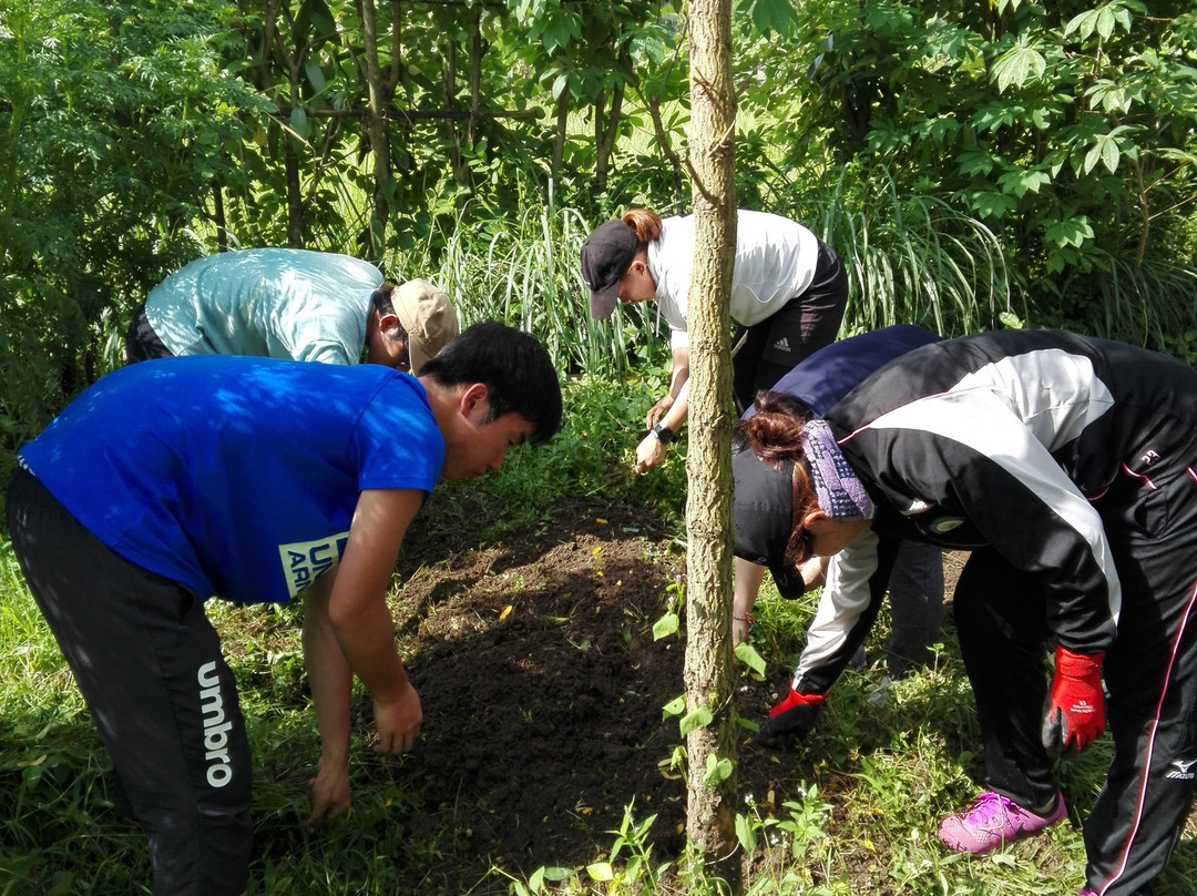 Mai Organic Farm-佩京必去景点