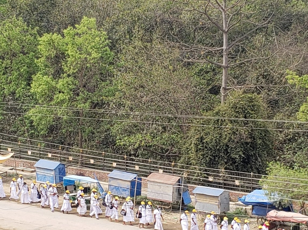 Hotel Little Buddha主图