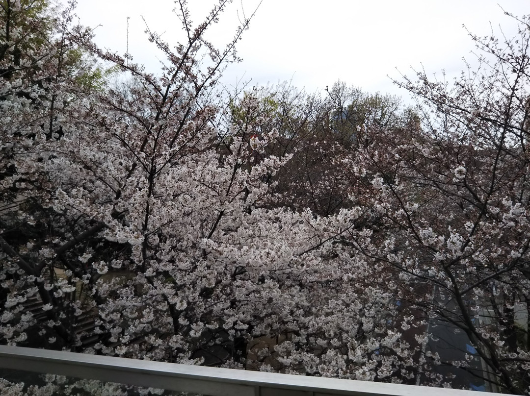 Roppongi Sakurazaka-Roppongi必去景点