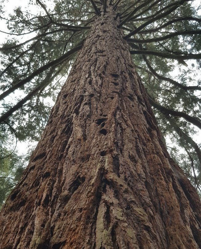 Gaiberg旅游景点-Sprunghohe
