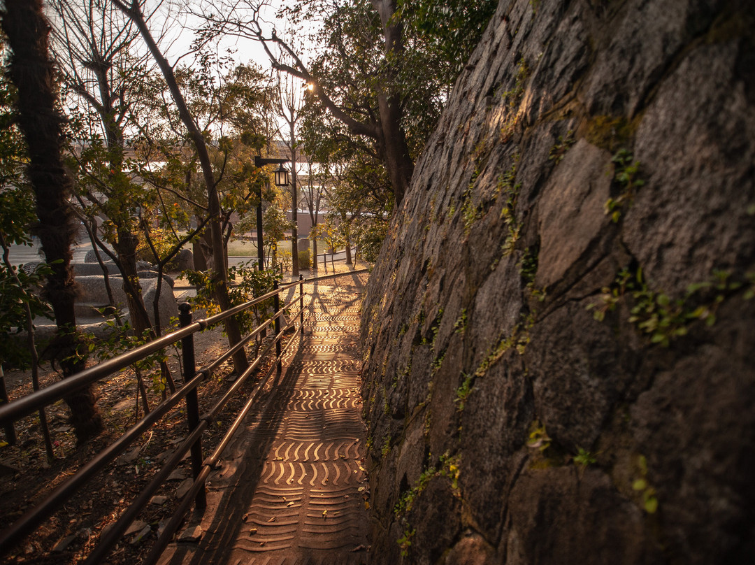 Kannon Statue-高滨市必去景点