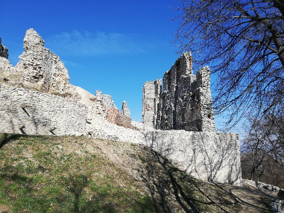 Oponice Castle景点图片