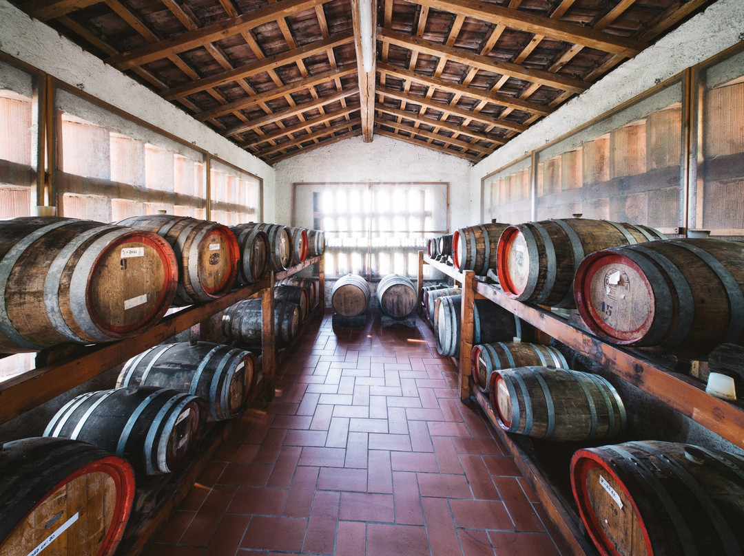 La Sala Del Torriano景点图片