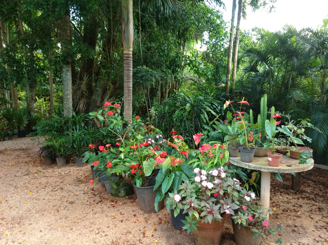 Paiol-Barra Bonita必去景点