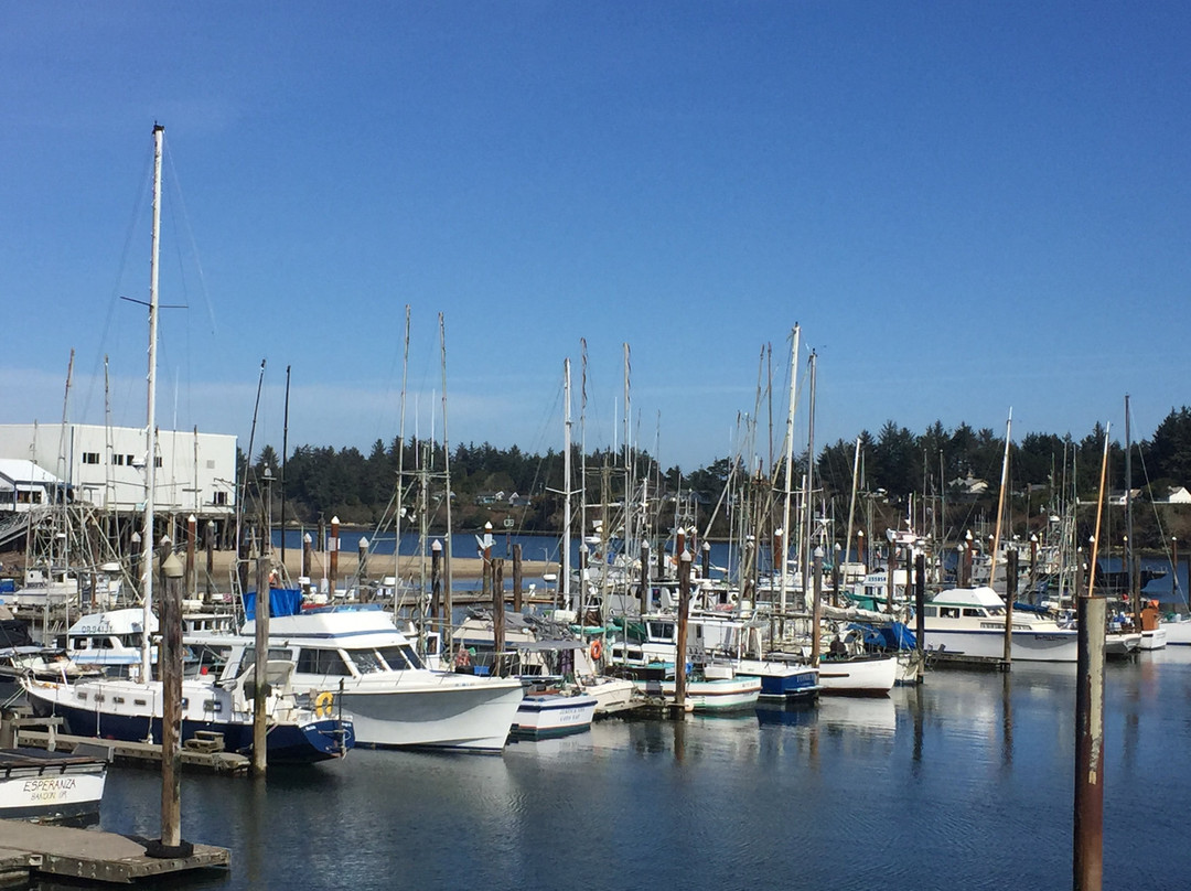 Charleston Marina Complex-Charleston必去景点