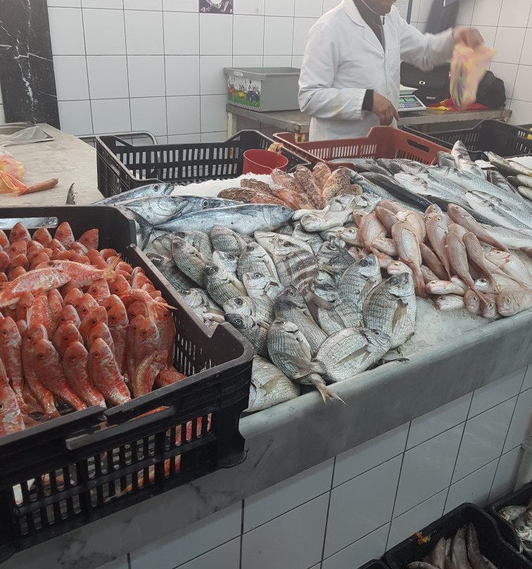 Fish Market-黎波里必去景点