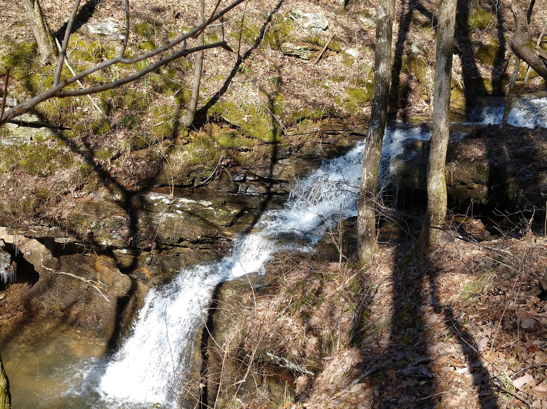 Land Trust of North Alabama-亨茨维尔必去景点