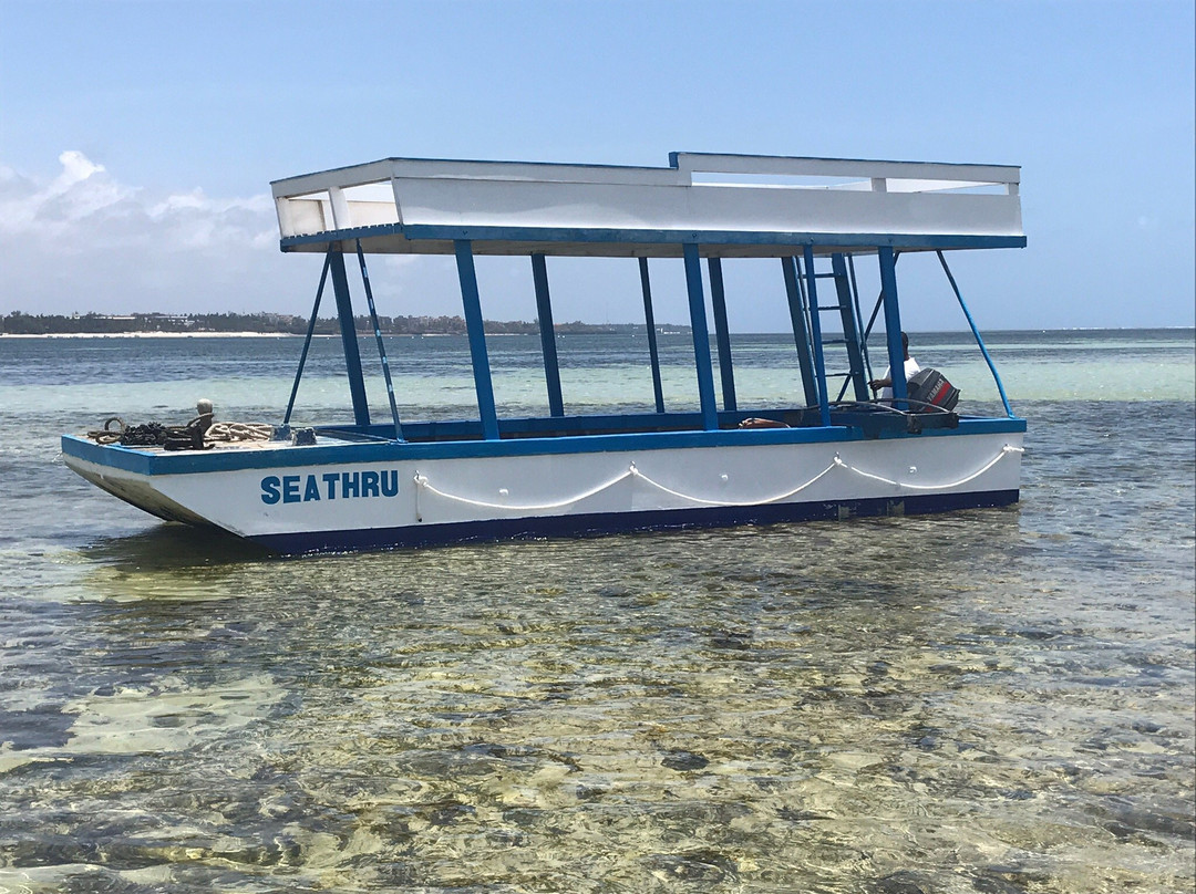 Baracuda Diving-蒙巴萨必去景点