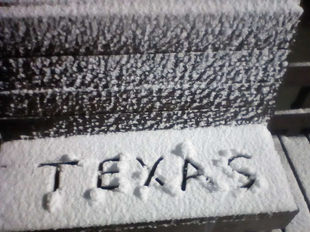 Art Center Seadrift / The Art Boat-Seadrift必去景点