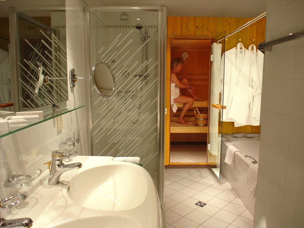 阿尔卑霍夫酒店主图