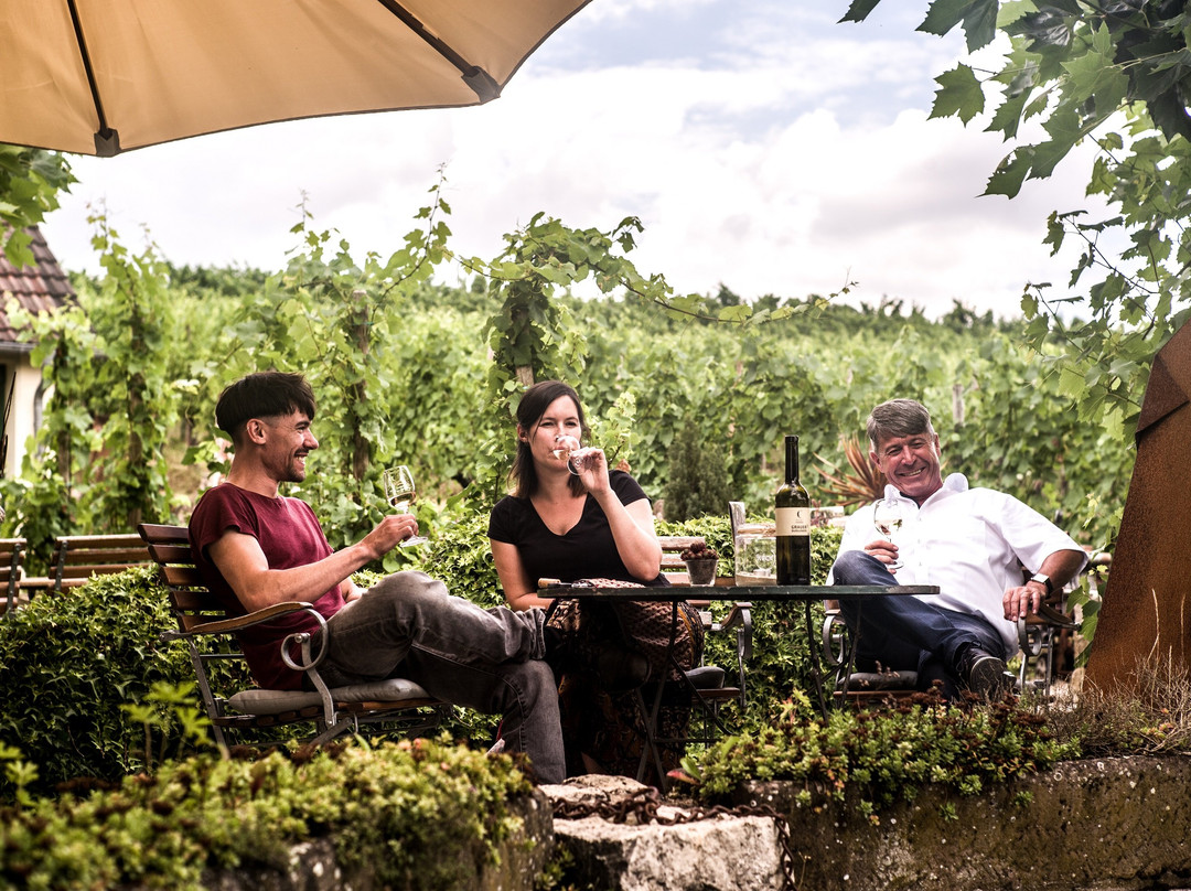 Weingut Carlsfelsen-Palzem必去景点