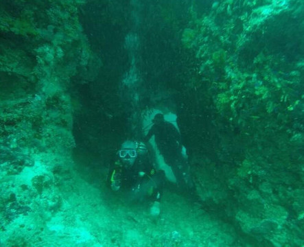 Puahele Diving Tour-奥斯洛布必去景点