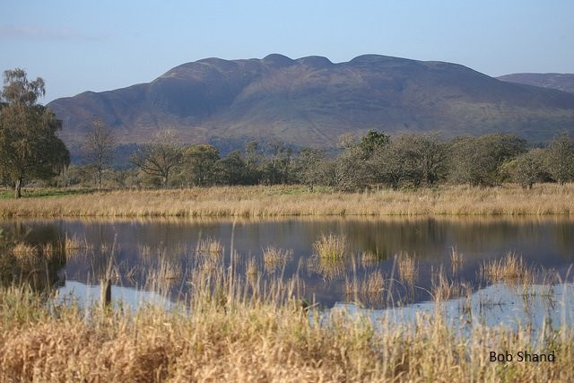 RSPB Scotland Loch Lomond景点图片