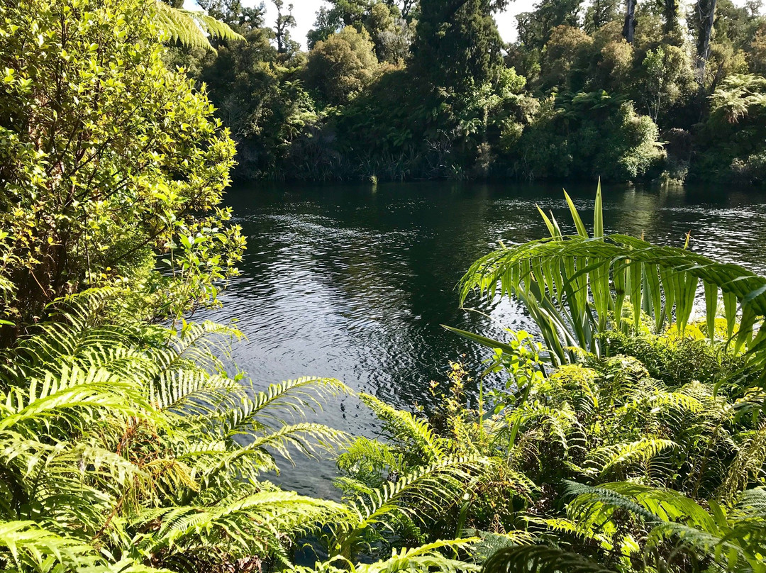 Wilderness Lodge Lake Moeraki主图