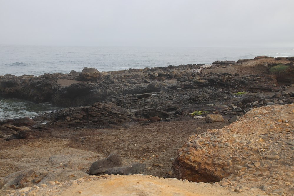 Smelt Sands State Park景点图片