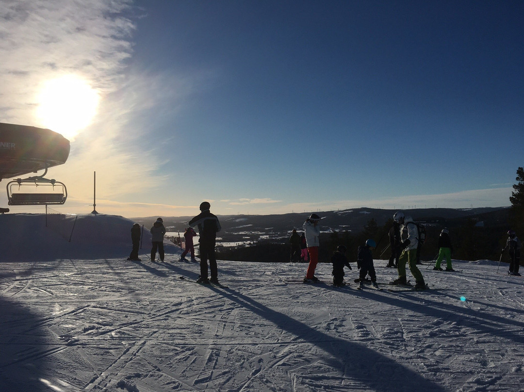 Järvsöbacken-Jarvso必去景点