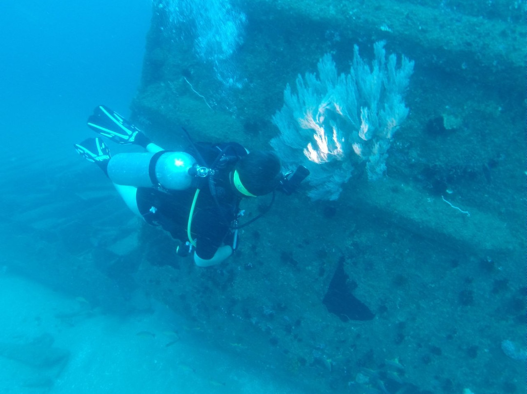 Ruhunu Diving Center Tangalle-唐卡拉必去景点
