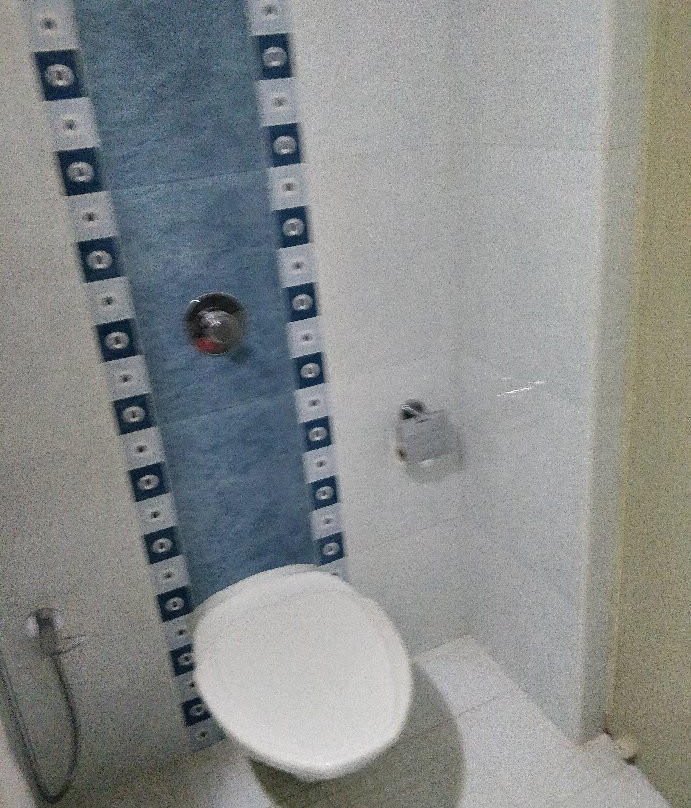 Hyson Heritage主图