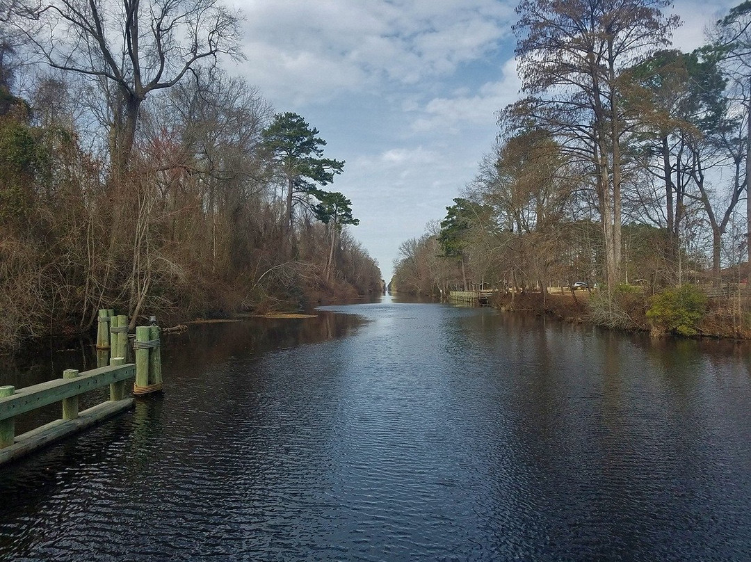 Dismal Swamp State Park景点图片