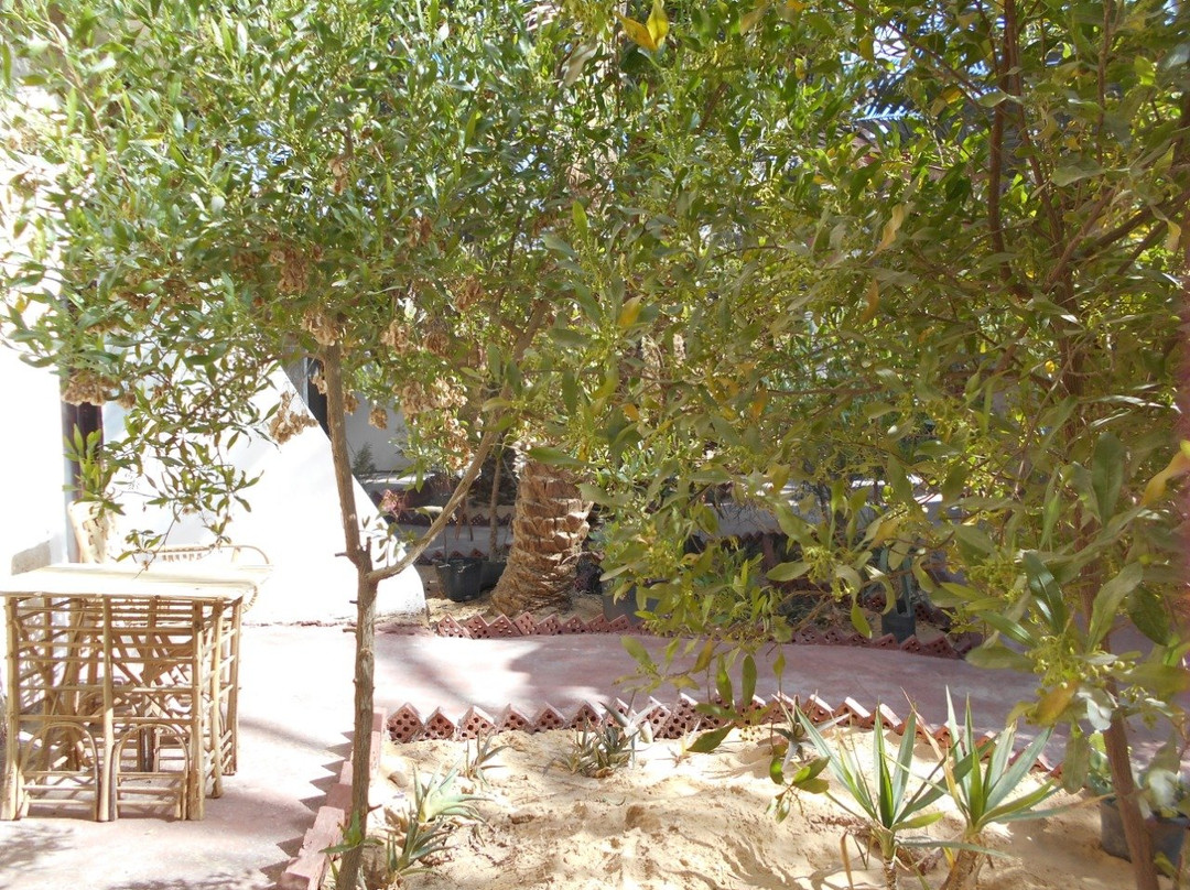 Siwa Safari Paradise Hotel & Tourist Village主图