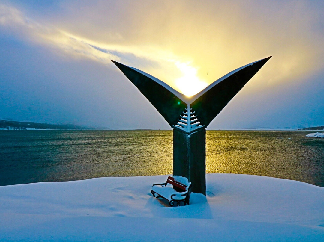 AS Guest House主图