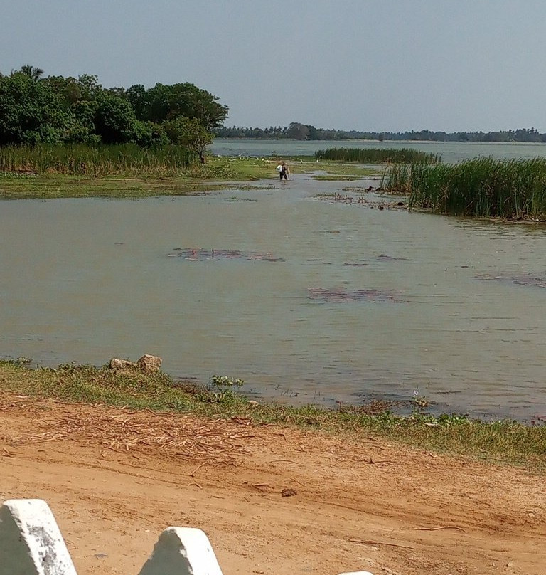 Great Lake Villa主图