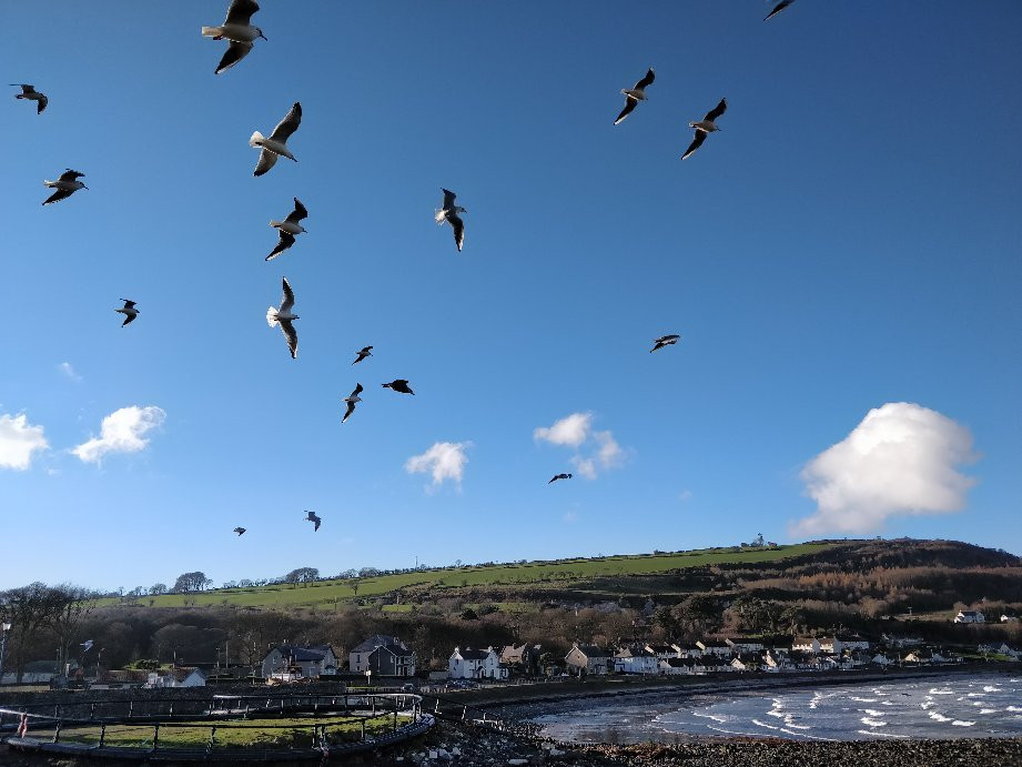 Glenarm Marina景点图片