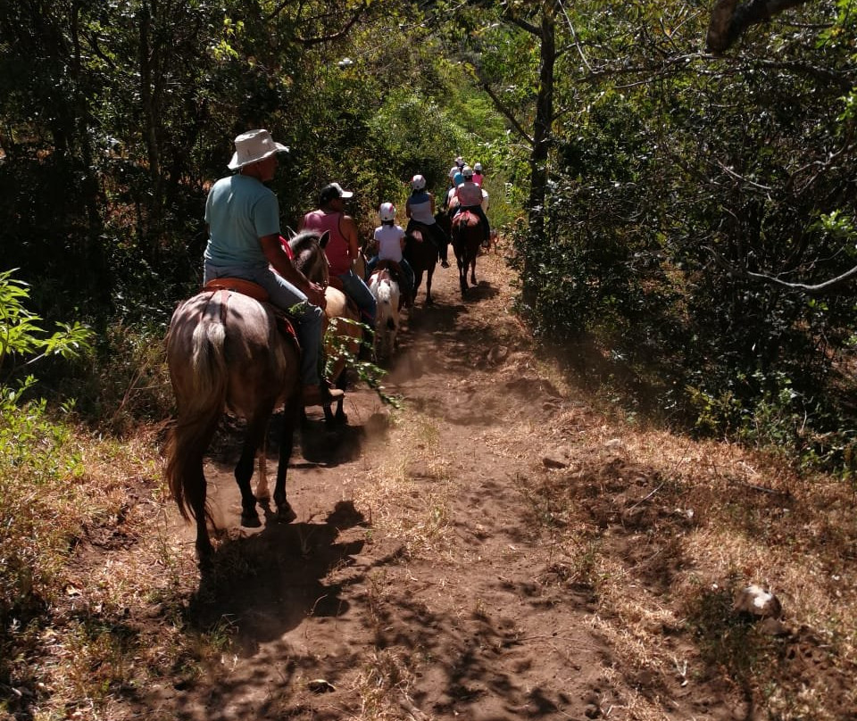 Finca EL Zapote Horseback Riding景点图片