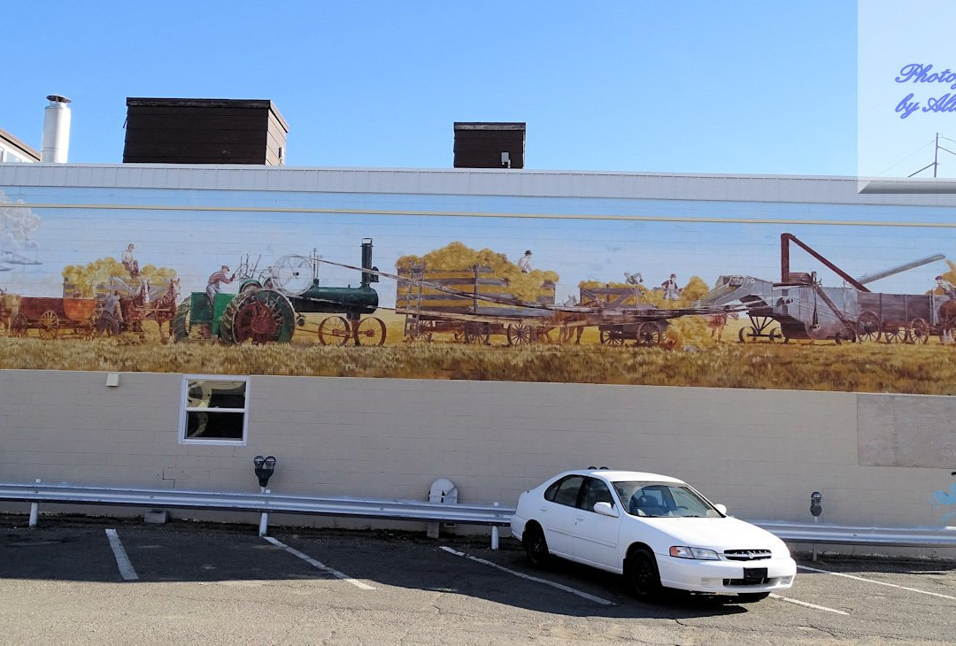 Murals of Moose Jaw-穆斯乔必去景点