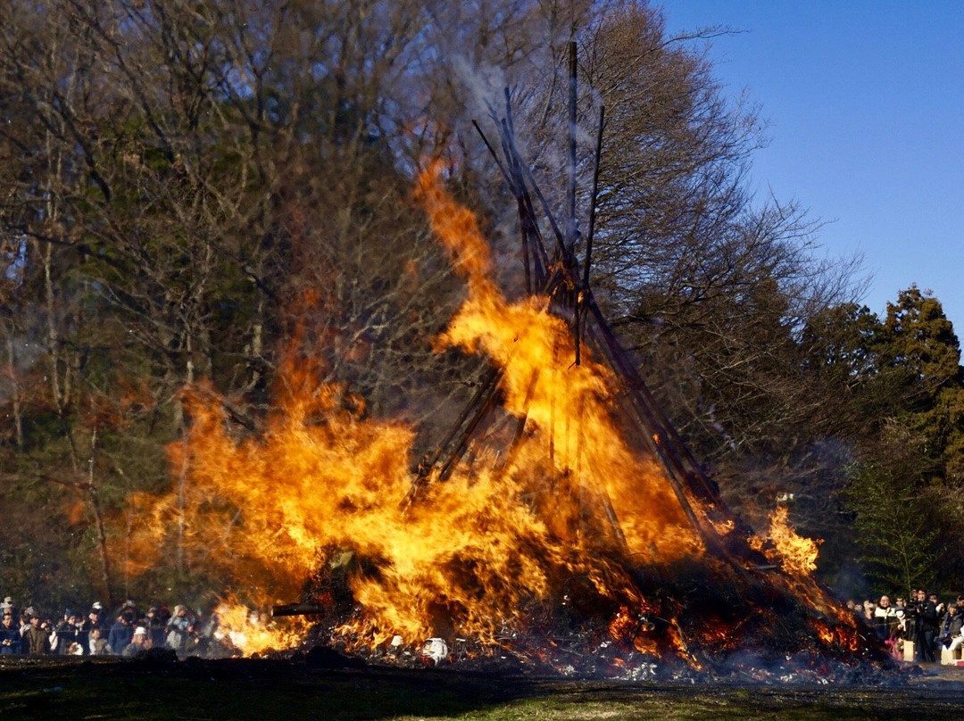 Oyamadairi Park-町田市必去景点